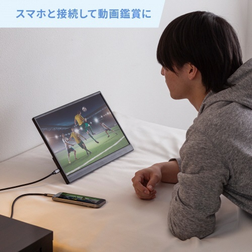 サンワサプライ　モバイルディスプレイ　１５．６型　ＤＰ－０７　１台8