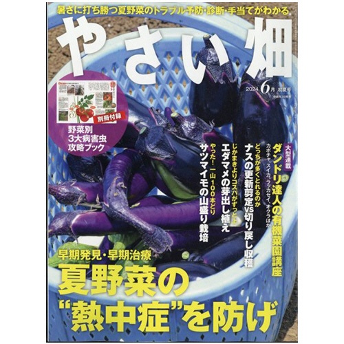家の光協会　やさい畑　定期購読　１年６冊　（継続）　１セット1