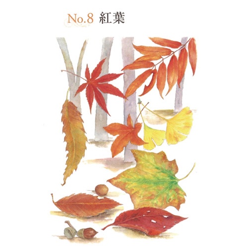 河出書房新社　やさしい大人の塗り絵　いきいきと咲く花編　１冊2