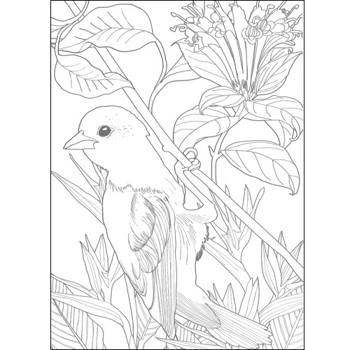 河出書房新社　リラックス塗り絵　ふしぎな花園　１冊2