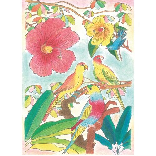 河出書房新社　リラックス塗り絵　ふしぎな花園　１冊3
