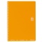 コクヨ　ソフトリングノート（ドット入り罫線）　Ａ５　Ｂ罫　５０枚　オレンジ　ス－ＳＶ３３１ＢＴ－ＹＲ　１冊