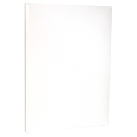 セキセイ　のびーるファイル（樹脂ハトメ）　Ａ４タテ　１０００枚収容　背幅１３～１１３ｍｍ　白　ＡＥ－５０Ｊ　１冊