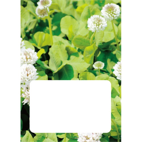 ダイオーミウラ　お薬手帳（通常版）　４０ページ　クローバー　１パック（５０冊）2