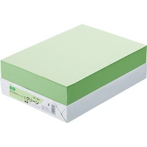 ＴＡＮＯＳＥＥ　αエコカラーペーパーII　Ａ４　グリーン　１冊（５００枚）1