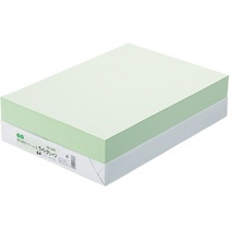 ＴＡＮＯＳＥＥ　αエコカラーペーパーII　Ｂ４　ライトグリーン　１冊（５００枚）1
