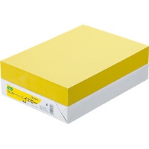 ＴＡＮＯＳＥＥ　αエコカラーペーパーII　Ａ４　イエロー　１冊（５００枚）1