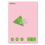 長門屋商店　Ｃｏｌｏｒ　Ｐａｐｅｒ　厚口
