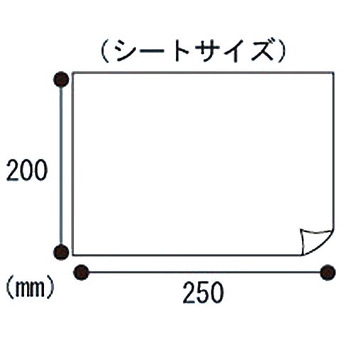 三昭紙業　「おもいやり心」　大人用ぬれタオル　Ｎ－６０　１パック（６０枚）2