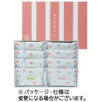 かなん堂　知多の彩り　１箱（８袋）
