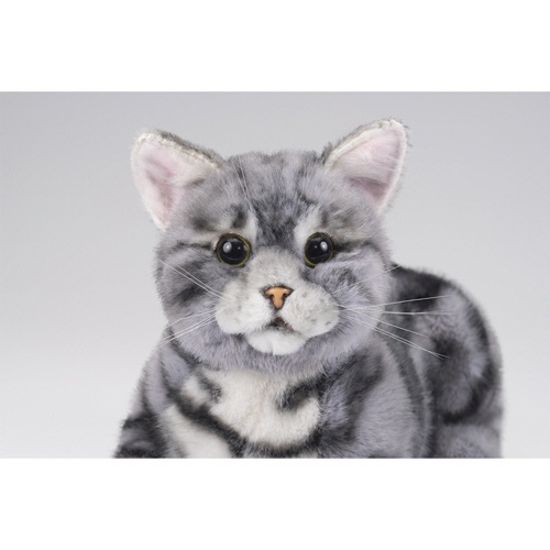 トレンドマスター　なでなでねこちゃんＥＸ　アメショー　１個5