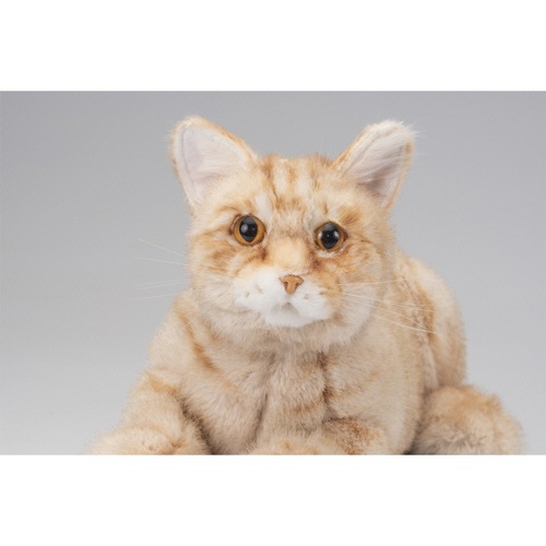 トレンドマスター　なでなでねこちゃんＥＸ　とら　１個5
