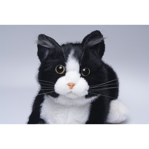 トレンドマスター　なでなでねこちゃんＥＸ　ハチワレ　１個4