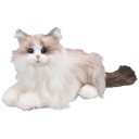 トレンドマスター　なでなでねこちゃんＥＸ　ＨＧ　ラグドール　１個