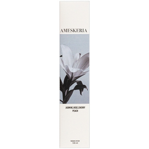 ユーロジャパンエレガンス　ＲＥＭＩＮＩＳＣＥＮＴ　ＯＦ　ＤＲＥＡＭＳ　ディフューザー　アメスケリア　１００ｍＬ　ＩＤＲＤ０１０３　１セット1