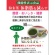 国太楼　おいしくカテキン生活　６０ｇ　１袋3