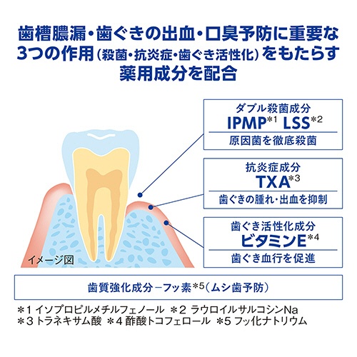 ライオン　デントヘルス　薬用ハミガキＤＸ　２８ｇ　１本3