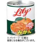三菱食品　リリー　みかん（国産）　ＥＯ５号缶　２９５ｇ　１缶