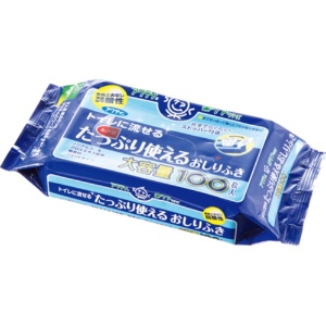 日本製紙クレシア　アクティ　トイレに流せるたっぷり使えるおしりふき　１パック（１００枚）1