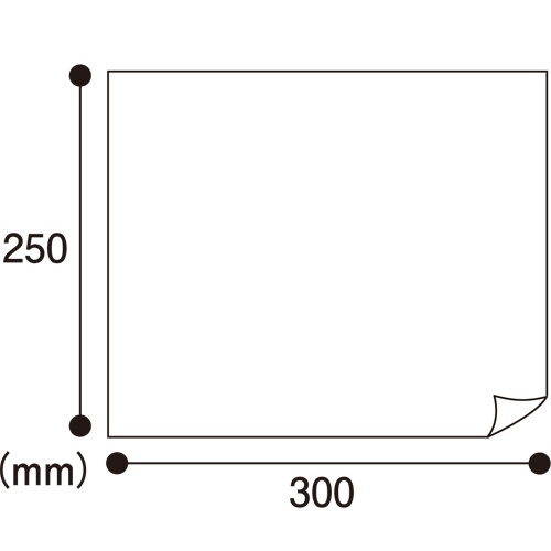 カネモ商事　なめらかディスポタオル　２５×３０ｃｍ　個包装　１ケース（１０００本）3