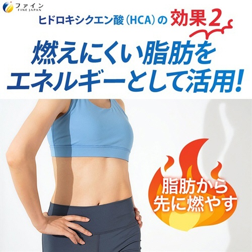 ファイン　イオンドリンク　燃焼プラス　スポーツドリンクの味　５００ｍＬ用（３．２ｇ）／本　１箱（２０本）5