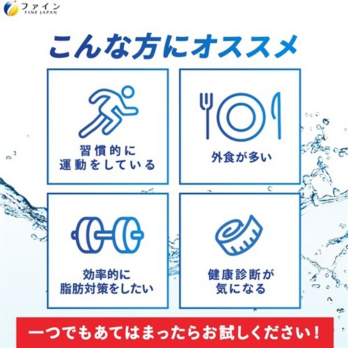 ファイン　イオンドリンク　燃焼プラス　スポーツドリンクの味　５００ｍＬ用（３．２ｇ）／本　１箱（２０本）6