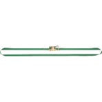 日本緑十字社　荷締めベルト（ベルロック）　２５ｍｍ幅×４．５ｍ　使用荷重１００ｋｇ　３５１００１　１本