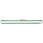 日本緑十字社　荷締めベルト（ベルロック）　３５ｍｍ幅×５ｍ　使用荷重２５０ｋｇ　３５１００２　１本