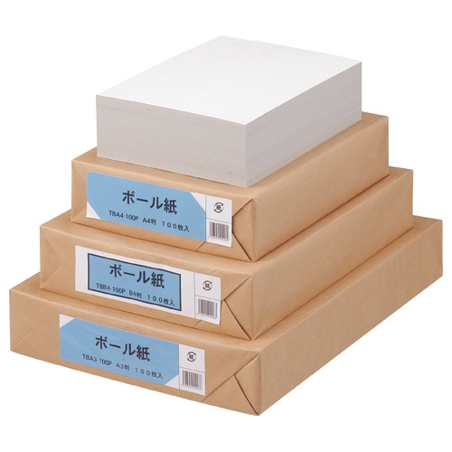 ＴＡＮＯＳＥＥ　ボール紙　Ａ４　１パック（１００枚）1