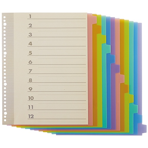 ＴＡＮＯＳＥＥ　インデックス（ＰＰ）　Ａ４タテ　２・４・３０穴　１２山１組　１パック1