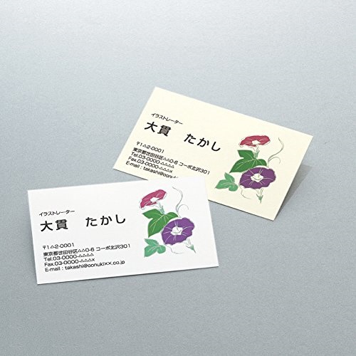 コクヨ　マルチプリンタ用名刺用紙（マイクロミシン）両面印刷用・普通紙　Ａ４　１０面　ナチュラルホワイト　ＫＰＣ－ＶＥ１５Ｗ　１冊（１００シート）3