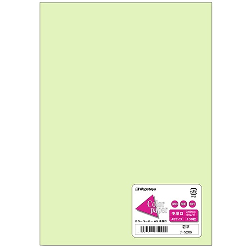 長門屋商店　Ｃｏｌｏｒ　Ｐａｐｅｒ　Ａ５　中厚口　若草　ナ－５２０６　１冊（１００枚）1