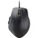 バッファロー　有線　ＢｌｕｅＬＥＤ　プレミアムフィットマウス　Ｍサイズ　ブラック　ＢＳＭＢＵ５００ＭＢＫ　１個1