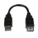 ＳｔａｒＴｅｃｈ．ｃｏｍ　ＵＳＢ２．０延長アダプタケーブル　１５ｃｍ　ＵＳＢ　Ａ（オス）－ＵＳＢ　Ａ（メス）　ブラック　ＵＳＢＥＸＴＡＡ６ＩＮ　１本1