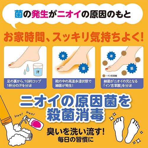 マックス　薬用柿渋　帰ってスグの足洗いソープ　２５０ｍＬ　１本4