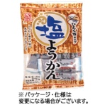天恵製菓　塩ようかん　１８６ｇ