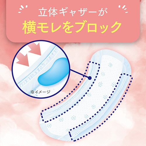 日本製紙クレシア　ポイズ　さらさら吸水ナプキン　１００ｃｃ　１パック（１２枚）4