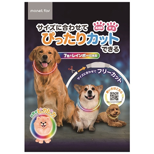 日翔　ｍｏｎｅｔ　ｆａｖ　お散歩ピカピカ　１個3