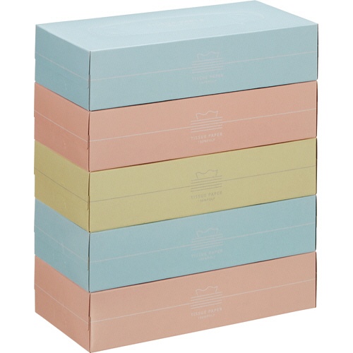 スバル紙販売　ティッシュペーパー　Ｐａｓｔｅｌ　１５０組／箱　１パック（５箱）1