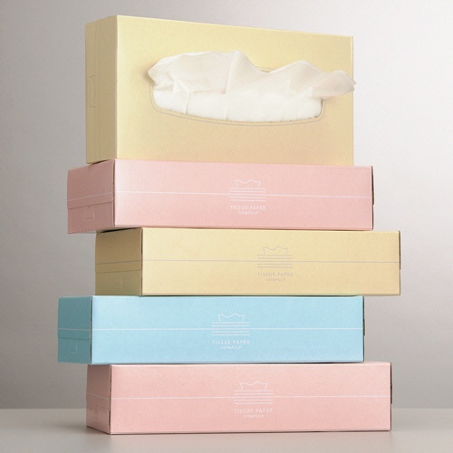 スバル紙販売　ティッシュペーパー　Ｐａｓｔｅｌ　１５０組／箱　１パック（５箱）3