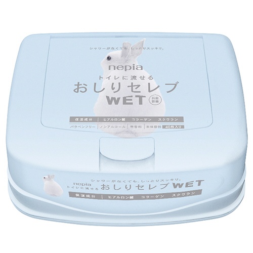 王子ネピア　おしりセレブ　ＷＥＴ　本体　１個（４０枚）1