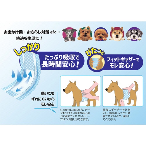 コーチョー　ペット用オムツ　ネオ・オムツ　男の子用　Ｌ　中型犬用（体重約７．０～１０．０ｋｇ）　１パック（２２枚）2