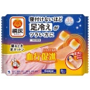小林製薬　桐灰カイロ　寝るとき足ホットン　４回分　１パック（８枚）