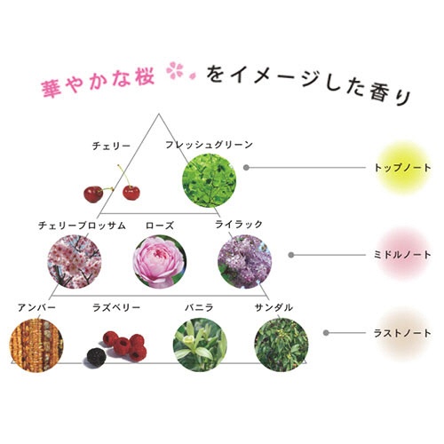 フェニックス　馬油さくら　コンディショナー　５００ｍｌ　１本2