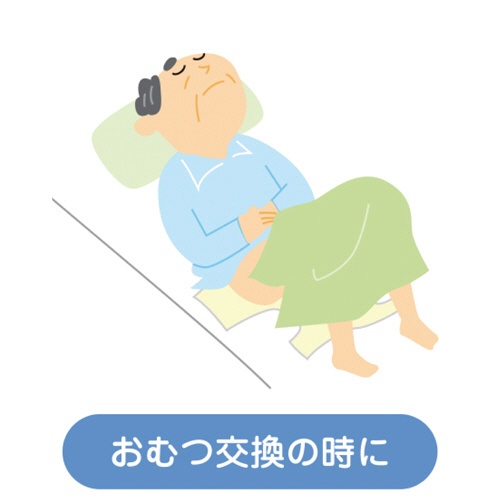 フェニックス　アラ！ドライナリシング　５５０ｍＬ　１本5