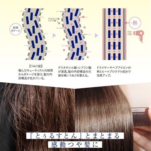 コスメテックスローランド　トゥルースト　バイエスフリー　酸熱トリートメント　レフィル　４００ｍＬ　１個5