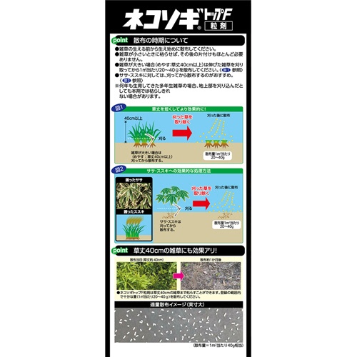 レインボー薬品　ネコソギトップＦ粒剤　３ｋｇ　１箱3