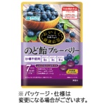 名糖　おいしく健康応援のど飴　ブルーベリー　６５ｇ　１パック