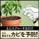 アース製薬　ＢｏｔａＮｉｃｅ　土のカビ予防スプレー　３５０ｍＬ　１本2