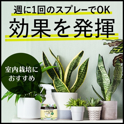 アース製薬　ＢｏｔａＮｉｃｅ　土のカビ予防スプレー　３５０ｍＬ　１本3